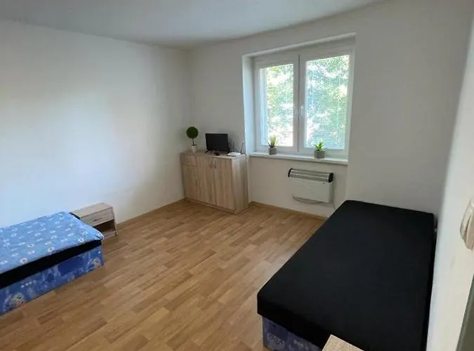 - školní *