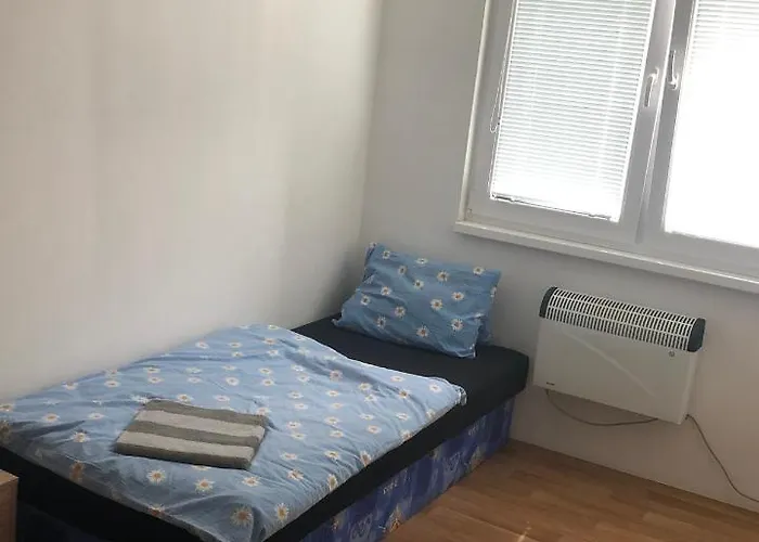 - školní *